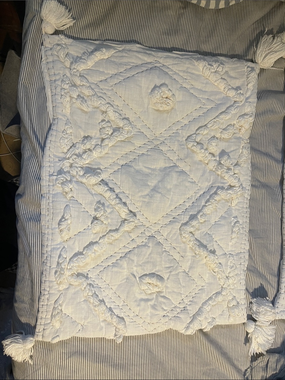 Anthropologie Queen standard shams